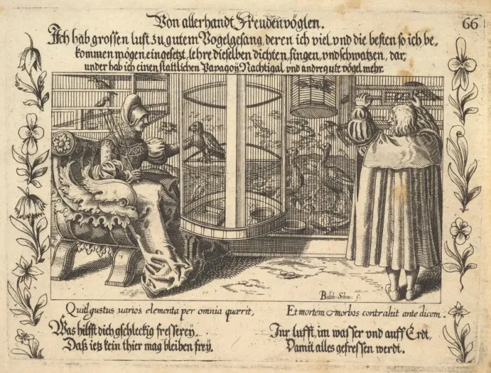 Framed Print : Von allerhandt Freudenvoglen, illustration from Petrarch Framed Print : Von allerhandt Freudenvoglen, illustration from Petrarch