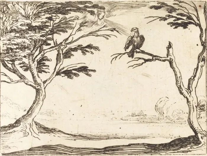 Framed Print : The Vulture. Creator: Jacques Callot Framed Print : The Vulture. Creator: Jacques Callot