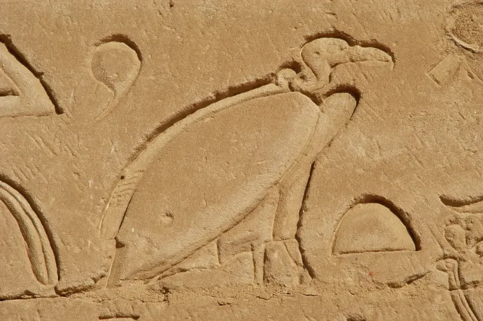 Framed Print : Vulture relief, Temple of Horus, Edfu, Egypt, 3rd century BC (2003). Creator: Unknown Framed Print : Vulture relief, Temple of Horus, Edfu, Egypt, 3rd century BC (2003). Creator: Unknown