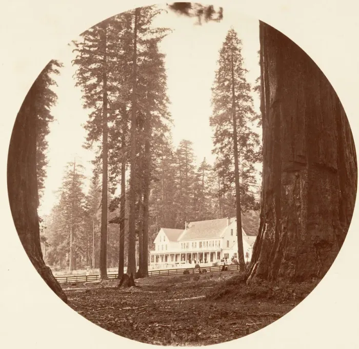 Framed Print : W. C. Bryant - Calaveras Grove, ca. 1878. Creator: Carleton Emmons Watkins Framed Print : W. C. Bryant - Calaveras Grove, ca. 1878. Creator: Carleton Emmons Watkins