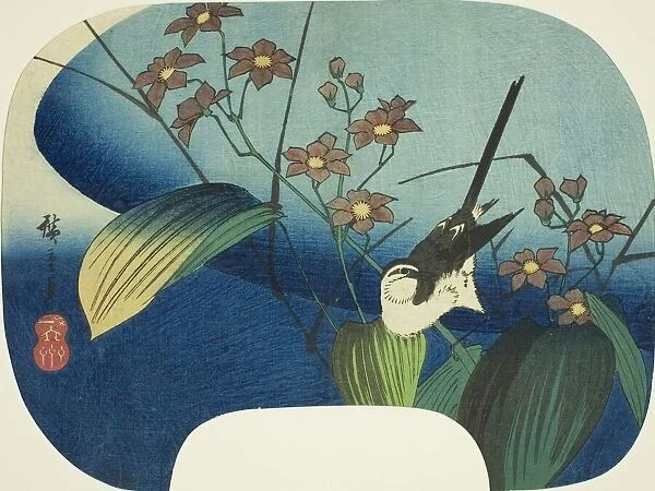 Wagtail and monochoria, n. d. Creator: Ando Hiroshige