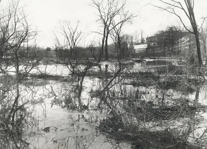 Framed Print : Before at Wakefield, New York City, through driveway was built, c1907. Creator: Frances Benjamin Johnston Framed Print : Before at Wakefield, New York City, through driveway was built, c1907. Creator: Frances Benjamin Johnston