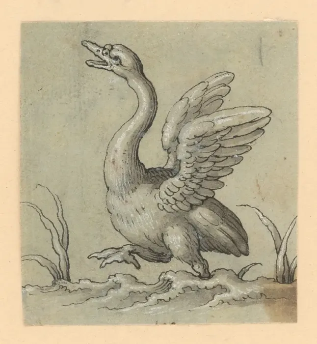 Framed Print : Walking swan, 1601 / 1700. Creator: Unknown Framed Print : Walking swan, 1601 / 1700. Creator: Unknown