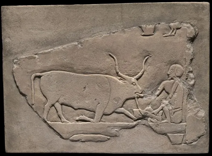Framed Print : Wall Fragment from a Tomb Depicting a Herdsman, Egypt, First Intermediate Period Framed Print : Wall Fragment from a Tomb Depicting a Herdsman, Egypt, First Intermediate Period