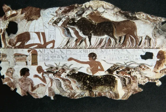 Framed Print : Wall painting from the tomb of Nebarunun, Thebes, Egypt, c1350 BC Framed Print : Wall painting from the tomb of Nebarunun, Thebes, Egypt, c1350 BC