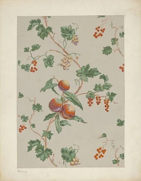 Wall Paper, c. 1937. Creator: Lee Hager