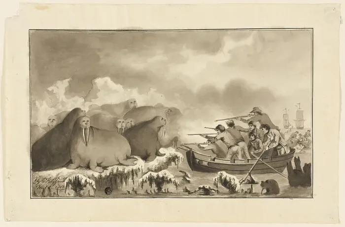 Framed Print : Walrus Hunt, 1801. Creator: Elizabeth Fitzgerald Framed Print : Walrus Hunt, 1801. Creator: Elizabeth Fitzgerald