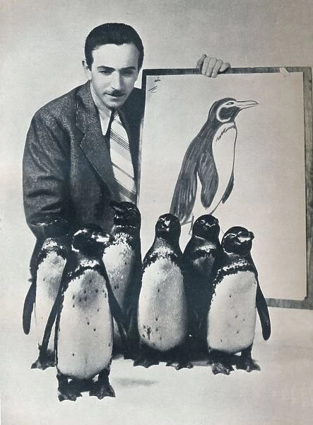 Walt Disney with penguins, 1934 (1935)