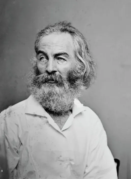 Framed Print : Walt Whitman, 1862. Creator: Bradys National Photographic Portrait Galleries Framed Print : Walt Whitman, 1862. Creator: Bradys National Photographic Portrait Galleries