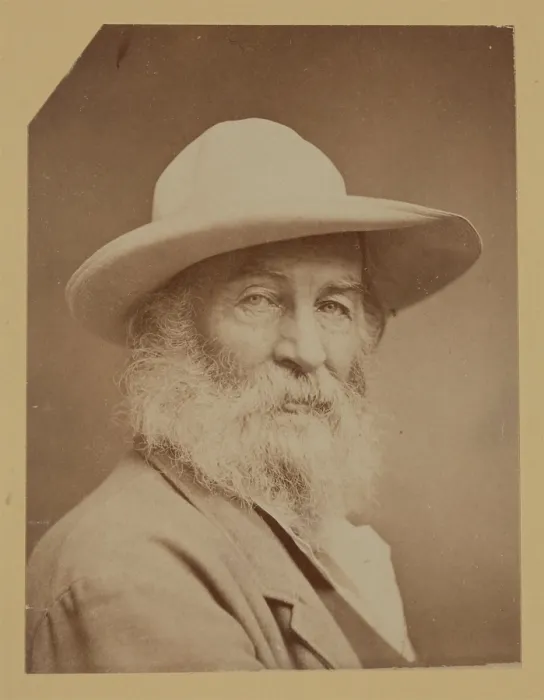 Framed Print : Walt Whitman, between 1870 and 1871. Creator: Unknown Framed Print : Walt Whitman, between 1870 and 1871. Creator: Unknown