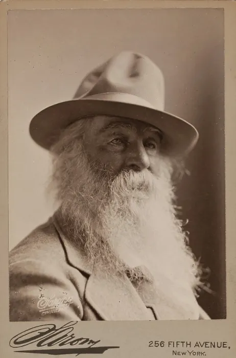 Framed Print : Walt Whitman, 1879. Creator: Napoleon Sarony Framed Print : Walt Whitman, 1879. Creator: Napoleon Sarony