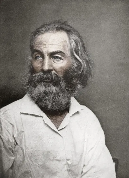 Framed Print : Walt Whitman, American poet, c1880s. Artist: Mathew Brady Framed Print : Walt Whitman, American poet, c1880s. Artist: Mathew Brady