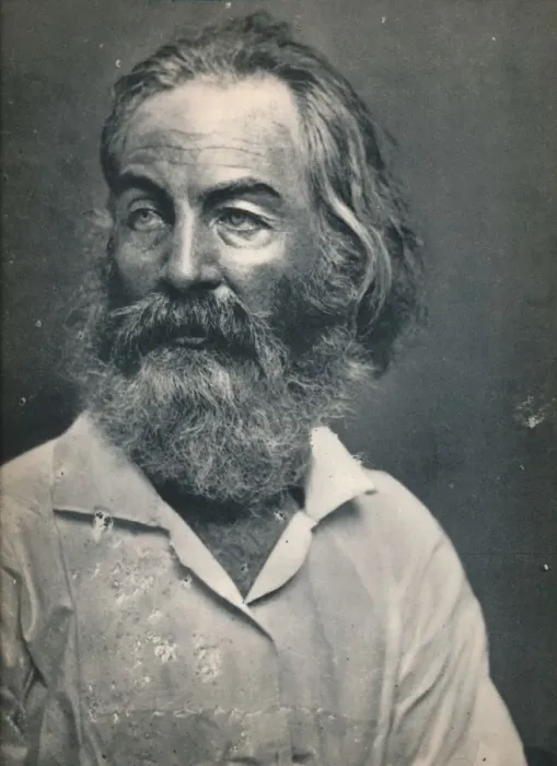 Framed Print : Walt Whitman, c1862, (1939). Artist: Mathew Brady Framed Print : Walt Whitman, c1862, (1939). Artist: Mathew Brady