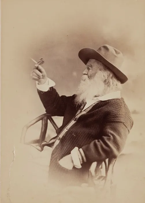 Framed Print : Walt Whitman, c1870s. Creators: Walt Whitman, Philips and Taylor Framed Print : Walt Whitman, c1870s. Creators: Walt Whitman, Philips and Taylor
