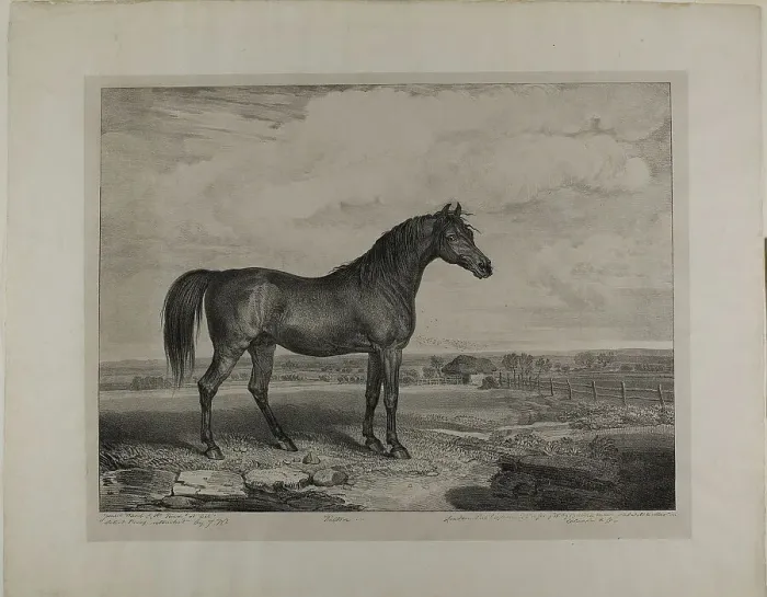 Framed Print : Walton, 1823. Creator: James Ward Framed Print : Walton, 1823. Creator: James Ward