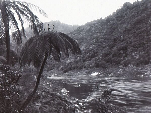 Wanganui River, late 19th-early 20th century. Creator: Unknown