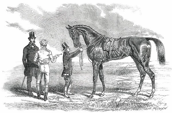 Wanota, Winner of the Ascot Stakes, 1850. Creator: Unknown