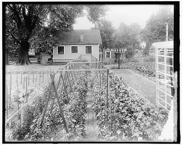 War Garden Commission, between 1910 and 1920. Creator: Harris & Ewing. War Garden Commission, between 1910 and 1920. Creator: Harris & Ewing