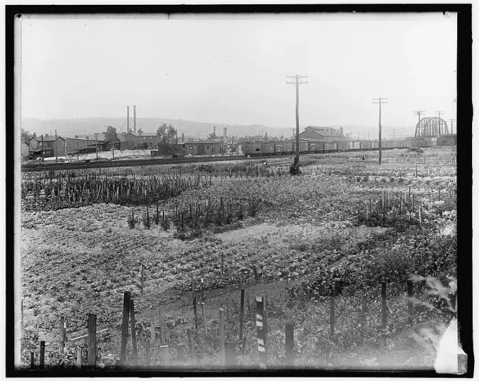 Framed Print : War Garden Commission, between 1910 and 1920. Creator: Harris & Ewing. War Garden Commission, between 1910 and 1920. Creator: Harris & Ewing Framed Print : War Garden Commission, between 1910 and 1920. Creator: Harris & Ewing. War Garden Commission, between 1910 and 1920. Creator: Harris & Ewing