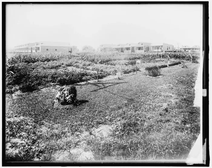 Framed Print : War Garden Commission, between 1910 and 1920. Creator: Harris & Ewing. War Garden Commission, between 1910 and 1920. Creator: Harris & Ewing