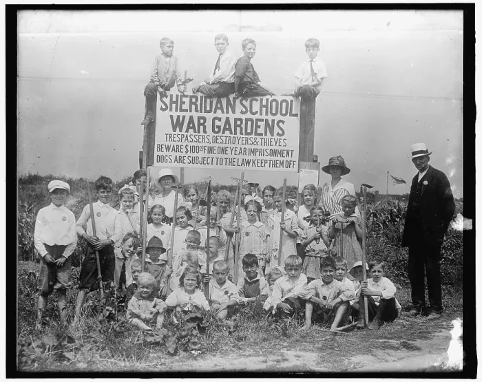 Framed Print : War Garden: Sheridan School, between 1910 and 1920. Creator: Harris & Ewing. War Garden: Sheridan School, between 1910 and 1920. Creator: Harris & Ewing Framed Print : War Garden: Sheridan School, between 1910 and 1920. Creator: Harris & Ewing. War Garden: Sheridan School, between 1910 and 1920. Creator: Harris & Ewing