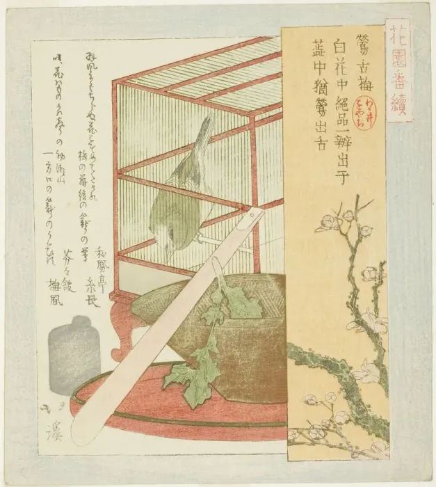 Framed Print : Warbler in a cage, from the series A Series for the Hanazono Group Framed Print : Warbler in a cage, from the series A Series for the Hanazono Group