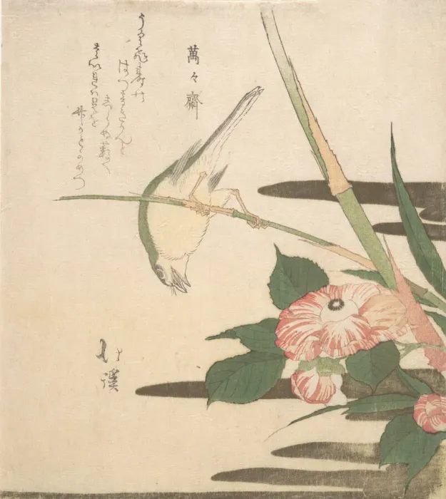 Framed Print : Warbler and Camellia, ca. 1815-20. Creator: Totoya Hokkei Framed Print : Warbler and Camellia, ca. 1815-20. Creator: Totoya Hokkei