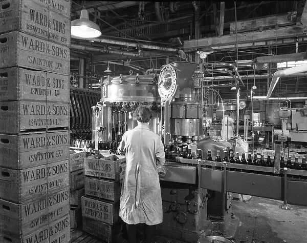 Ward & Sons soft drink bottling plant, Swinton, South Yorkshire, 1960. Artist