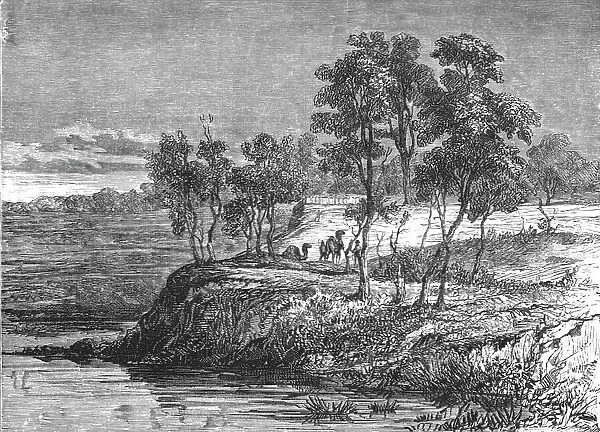 Warrego Creek; Incidents of Bush Life in Queensland, 1875. Creator: Unknown