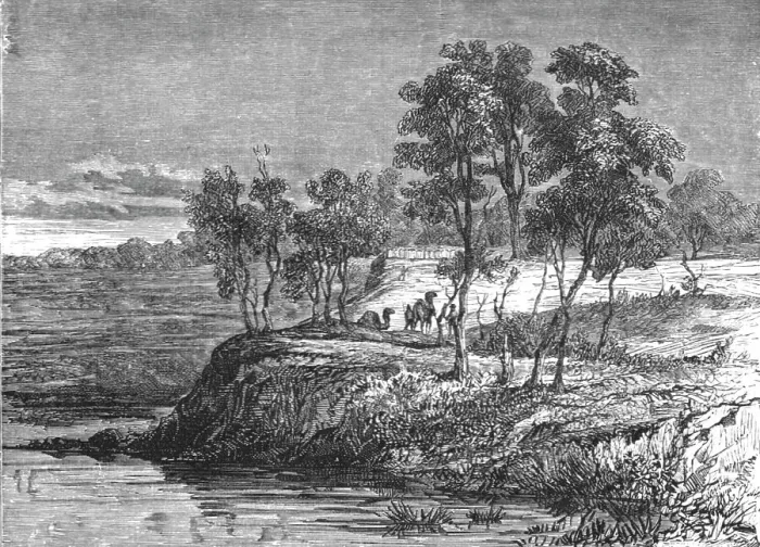 Framed Print : Warrego Creek; Incidents of Bush Life in Queensland, 1875. Creator: Unknown Framed Print : Warrego Creek; Incidents of Bush Life in Queensland, 1875. Creator: Unknown
