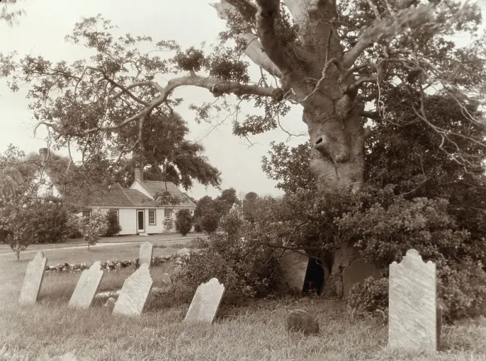 Framed Print : Warwick, Quinby vicinity, Accomac County, Virginia, between c1930 and 1939. Creator: Frances Benjamin Johnston Framed Print : Warwick, Quinby vicinity, Accomac County, Virginia, between c1930 and 1939. Creator: Frances Benjamin Johnston