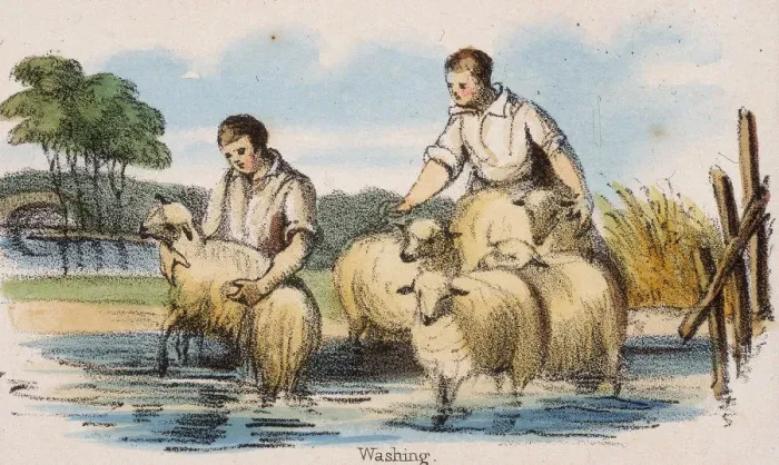 Framed Print : Washing, c1845. Artist: Robert Kent Thomas Framed Print : Washing, c1845. Artist: Robert Kent Thomas
