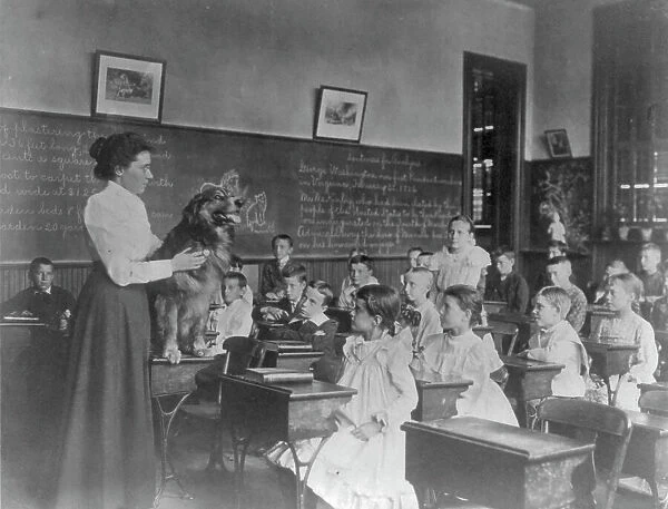 Washington, D.C. public schools, 5th Div. - teacher showing dog, (1899?). Creator: Frances Benjamin Johnston