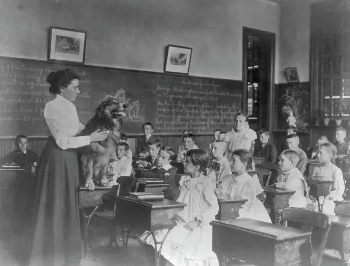Framed Print : Washington, D.C. public schools, 5th Div. - teacher showing dog, (1899?). Creator: Frances Benjamin Johnston Framed Print : Washington, D.C. public schools, 5th Div. - teacher showing dog, (1899?). Creator: Frances Benjamin Johnston