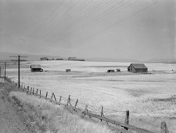 Washington, Klickitat County, near Goldendale, 1939. Creator: Dorothea Lange
