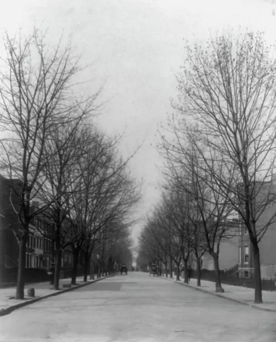 Framed Print : Washington Street shade trees, between 1890 and 1950. Creator: Frances Benjamin Johnston Framed Print : Washington Street shade trees, between 1890 and 1950. Creator: Frances Benjamin Johnston