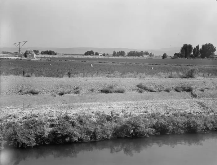 Framed Print : Washington, Yakima Valley, near Wapato, 1939. Creator: Dorothea Lange Framed Print : Washington, Yakima Valley, near Wapato, 1939. Creator: Dorothea Lange