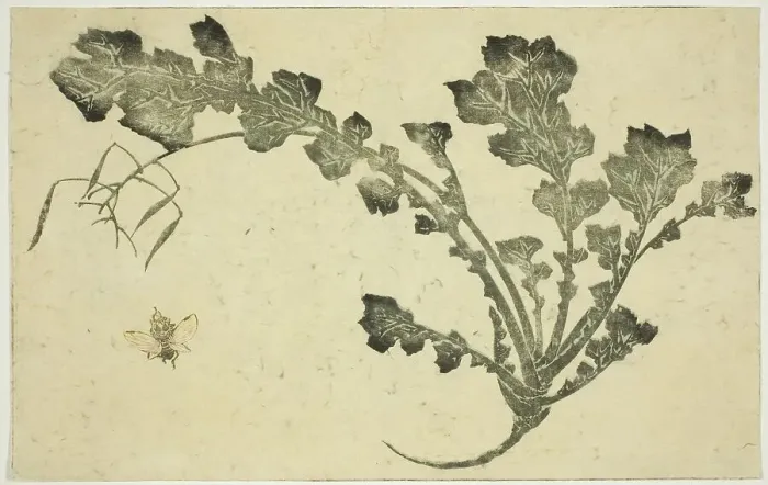 Framed Print : Wasp and turnip stalk, from The Picture Book of Realistic Paintings of Hokusai... Japan, c. 1814. Creator: Hokusai. Wasp and turnip stalk, from The Picture Book of Realistic Paintings of Hokusai... Japan, c. 1814. Creator: Hokusai Framed Print : Wasp and turnip stalk, from The Picture Book of Realistic Paintings of Hokusai... Japan, c. 1814. Creator: Hokusai. Wasp and turnip stalk, from The Picture Book of Realistic Paintings of Hokusai... Japan, c. 1814. Creator: Hokusai