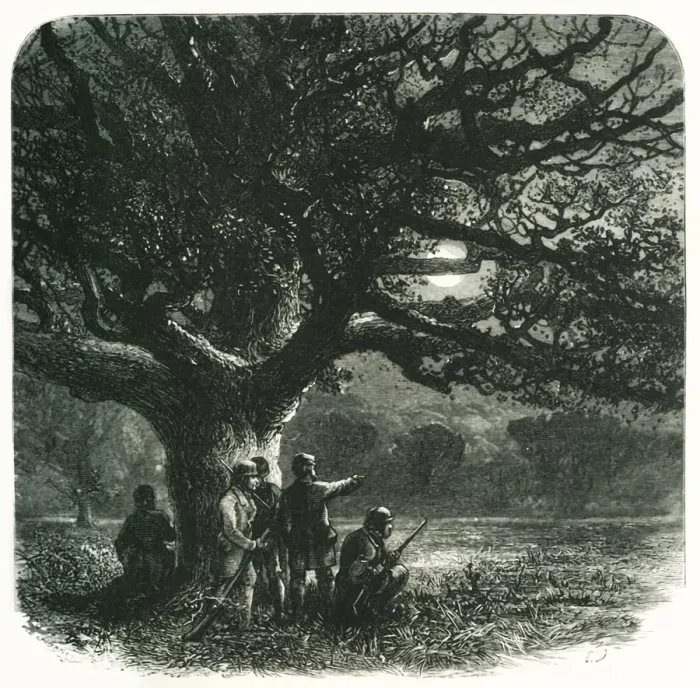 Framed Print : The Watch Oak, c1870 Framed Print : The Watch Oak, c1870