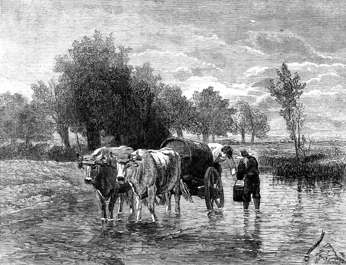 Framed Print : The Water-Cart - painted by Troyon - from the London Exhibition of the French School of Fine Arts, Creator: W Thomas. The Water-Cart - painted by Troyon - from the London Exhibition of the French School of Fine Arts, Creator: W Thomas Framed Print : The Water-Cart - painted by Troyon - from the London Exhibition of the French School of Fine Arts, Creator: W Thomas. The Water-Cart - painted by Troyon - from the London Exhibition of the French School of Fine Arts, Creator: W Thomas