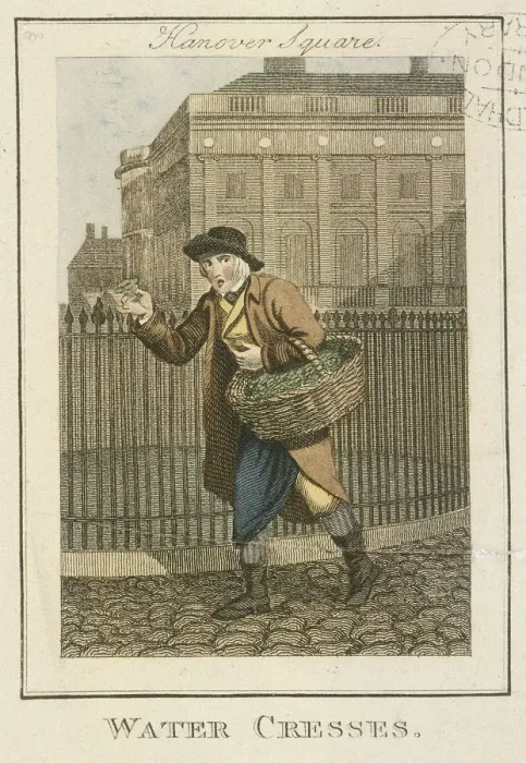 Framed Print : Water Cresses, Cries of London, 1804 Framed Print : Water Cresses, Cries of London, 1804
