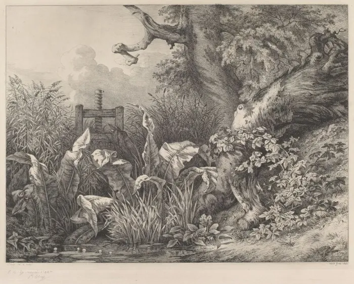 Framed Print : Water Dock and Brambles at a Sluice, 1843. Creator: Eugene Blery Framed Print : Water Dock and Brambles at a Sluice, 1843. Creator: Eugene Blery