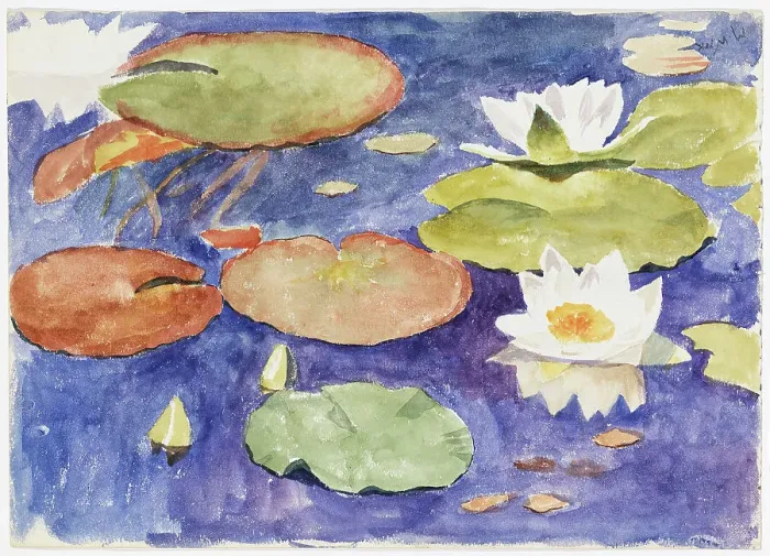 Framed Print : Water lilies in the water. Creator: Maria Wiik Framed Print : Water lilies in the water. Creator: Maria Wiik