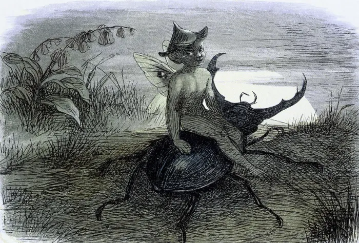 Framed Print : Water lilies and water fairies of the period, c1869-c1870. Creator: Richard Doyle. Water lilies and water fairies of the period, c1869-c1870. Creator: Richard Doyle Framed Print : Water lilies and water fairies of the period, c1869-c1870. Creator: Richard Doyle. Water lilies and water fairies of the period, c1869-c1870. Creator: Richard Doyle