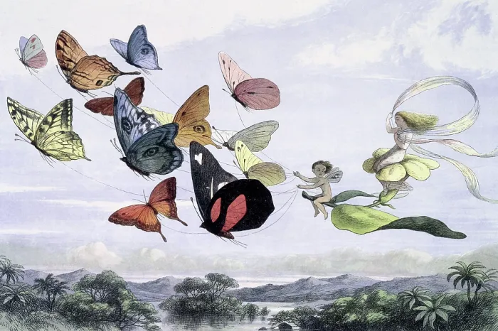 Framed Print : Water lilies and water fairies of the period, c1869-c1870. Creator: Richard Doyle. Water lilies and water fairies of the period, c1869-c1870. Creator: Richard Doyle Framed Print : Water lilies and water fairies of the period, c1869-c1870. Creator: Richard Doyle. Water lilies and water fairies of the period, c1869-c1870. Creator: Richard Doyle