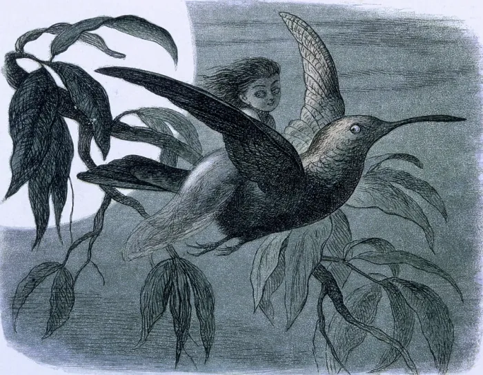Framed Print : Water lilies and water fairies of the period, c1869-c1870. Creator: Richard Doyle. Water lilies and water fairies of the period, c1869-c1870. Creator: Richard Doyle Framed Print : Water lilies and water fairies of the period, c1869-c1870. Creator: Richard Doyle. Water lilies and water fairies of the period, c1869-c1870. Creator: Richard Doyle