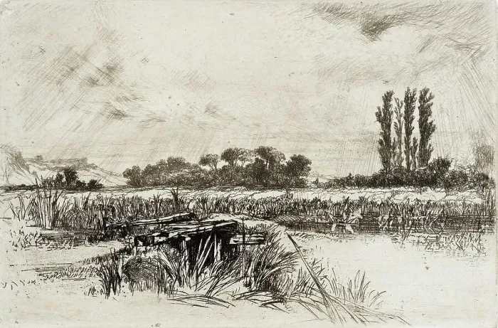 Framed Print : A Water Meadow, 1859. Creator: Francis Seymour Haden Framed Print : A Water Meadow, 1859. Creator: Francis Seymour Haden