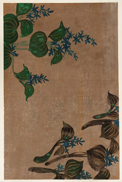 Water plants with blue flowers, Edo period, 1615-1868. Creator: Unknown