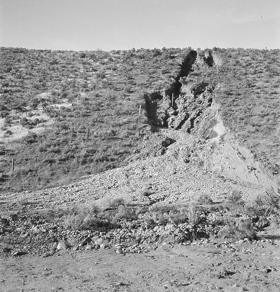 Water seepage from newly irrigated land... Dead Ox Flat, Malheur County, Oregon, 1939. Creator: Dorothea Lange