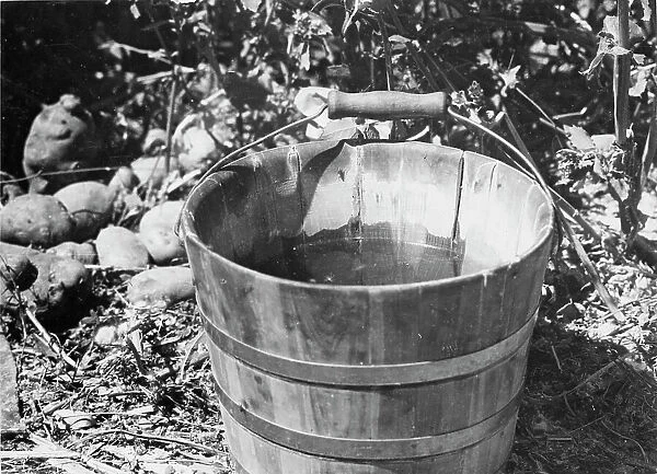 Water, Southern California, 1935. Creator: Dorothea Lange